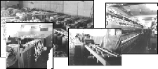 fotos_viejas.gif (21366 bytes)