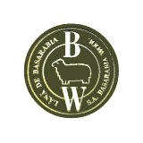 WOOL_l.gif (49625 bytes)